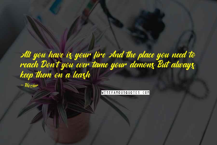 Hozier Quotes: All you have is your fire And the place you need to reach Don't you ever tame your demons But always keep them on a leash