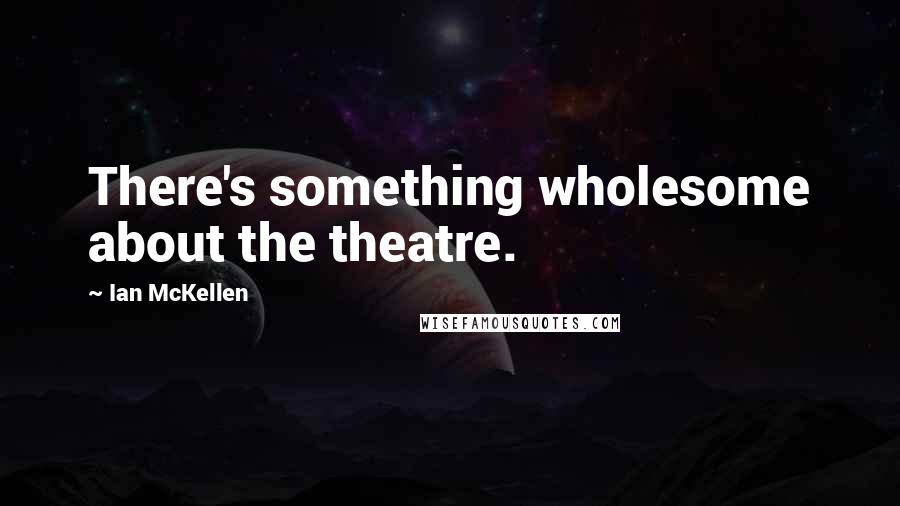 Ian McKellen Quotes: There's something wholesome about the theatre.