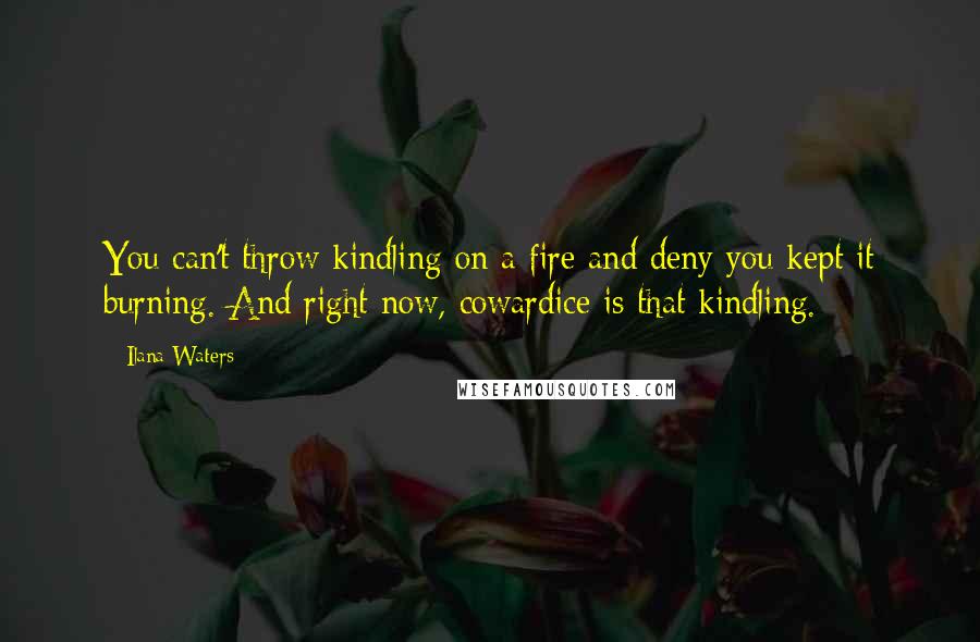 Ilana Waters Quotes: You can't throw kindling on a fire and deny you kept it burning. And right now, cowardice is that kindling.