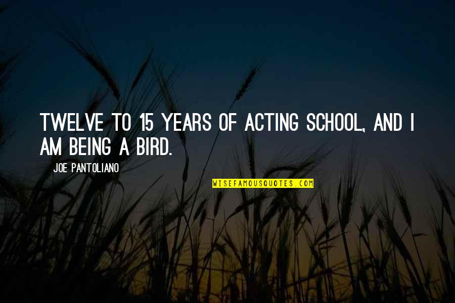 15 Years Quotes By Joe Pantoliano: Twelve to 15 years of acting school, and