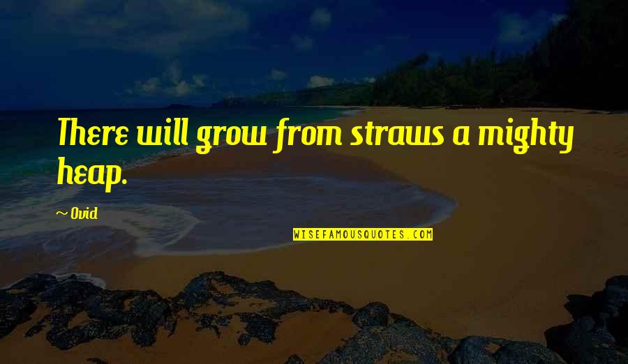 186a 13th Quotes By Ovid: There will grow from straws a mighty heap.