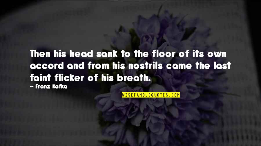 21b Stone Quotes By Franz Kafka: Then his head sank to the floor of