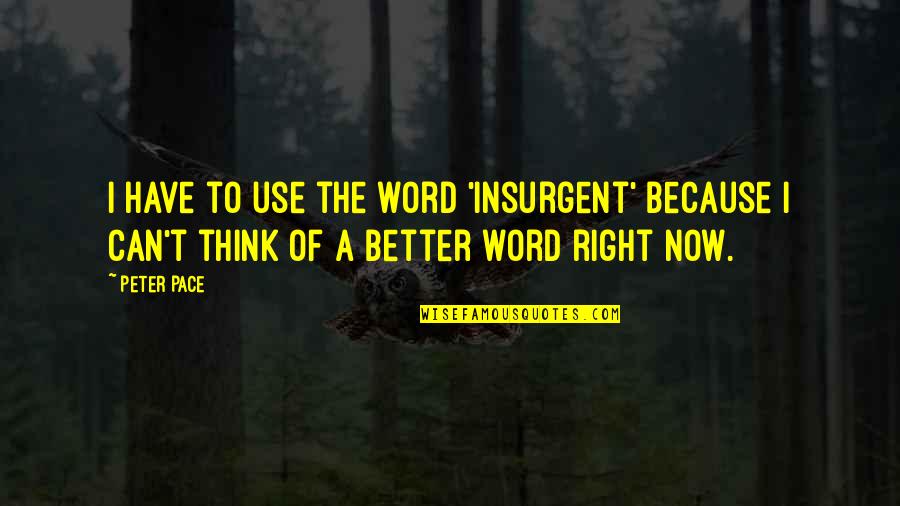 4 Word Quotes By Peter Pace: I have to use the word 'insurgent' because