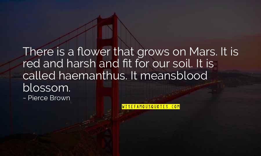 70 Year Old Birthday Quotes By Pierce Brown: There is a flower that grows on Mars.