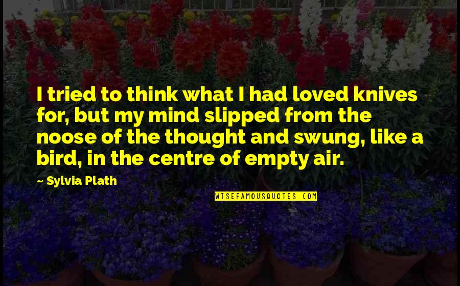 750hp Or 4k Quotes By Sylvia Plath: I tried to think what I had loved