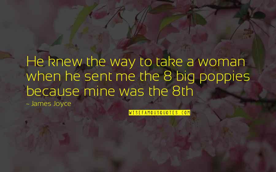 8th Quotes By James Joyce: He knew the way to take a woman