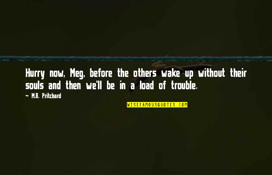 A.a.r.m Quotes By M.R. Pritchard: Hurry now, Meg, before the others wake up