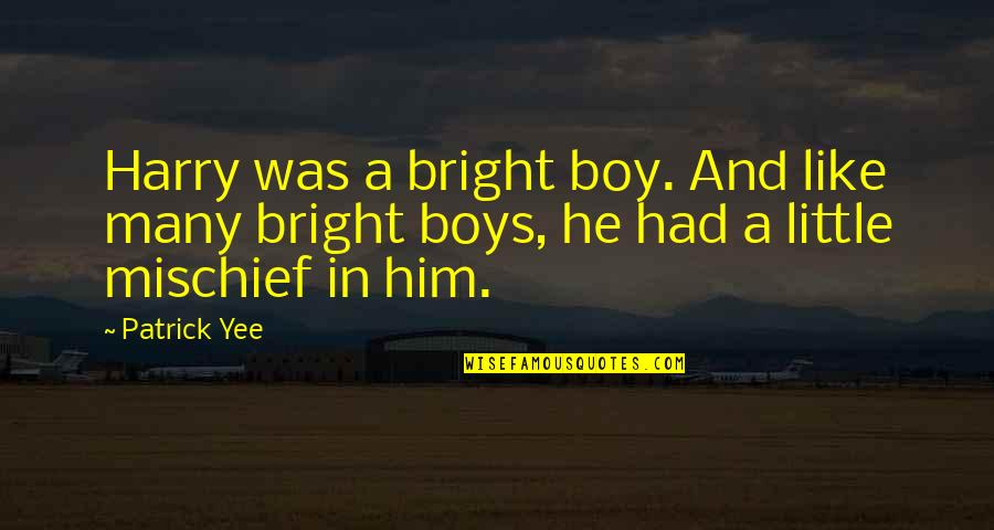 A Boy Named Harry Quotes By Patrick Yee: Harry was a bright boy. And like many