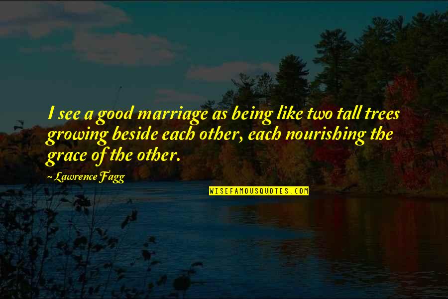 A Christmas Carol Atmosphere Quotes By Lawrence Fagg: I see a good marriage as being like