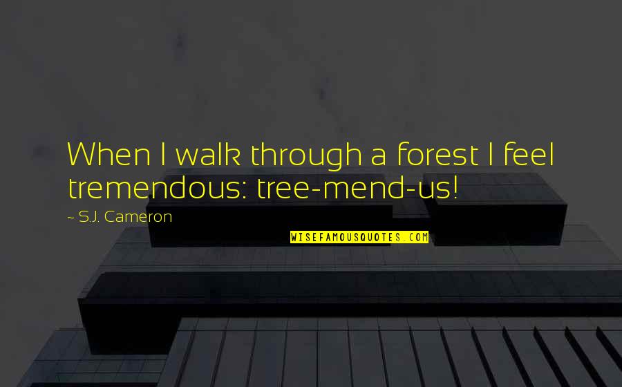 A Forest Quotes By S.J. Cameron: When I walk through a forest I feel