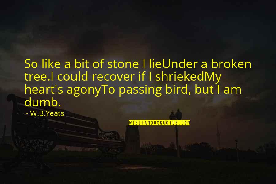 A Heart Of Stone Quotes By W.B.Yeats: So like a bit of stone I lieUnder