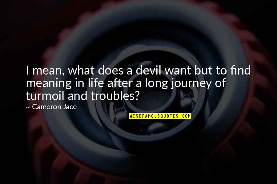 A Long Journey Quotes By Cameron Jace: I mean, what does a devil want but