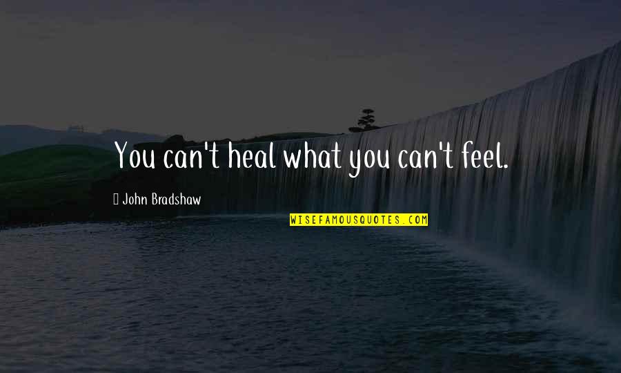 A New Baby Coming Quotes By John Bradshaw: You can't heal what you can't feel.