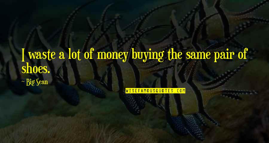 A Pair Of Shoes Quotes By Big Sean: I waste a lot of money buying the