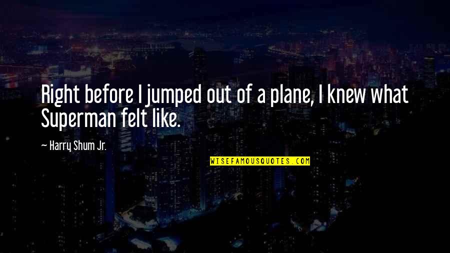 A Plane Quotes By Harry Shum Jr.: Right before I jumped out of a plane,