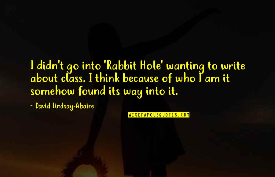 A Rabbit Hole Quotes By David Lindsay-Abaire: I didn't go into 'Rabbit Hole' wanting to