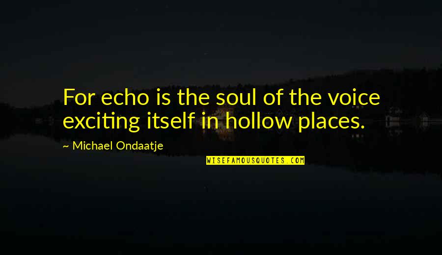 A Relationship Between A Mother And Daughter Quotes By Michael Ondaatje: For echo is the soul of the voice