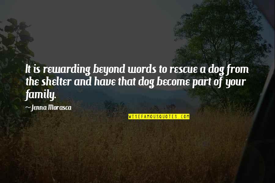 A Rescue Dog Quotes By Jenna Morasca: It is rewarding beyond words to rescue a