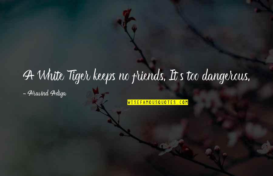 A Tiger Quotes By Aravind Adiga: A White Tiger keeps no friends. It's too