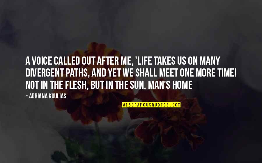 A Voice Quotes By Adriana Koulias: A voice called out after me, 'life takes