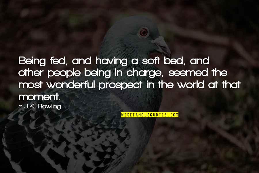 A Wonderful World Quotes By J.K. Rowling: Being fed, and having a soft bed, and