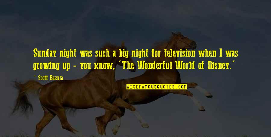 A Wonderful World Quotes By Scott Bakula: Sunday night was such a big night for