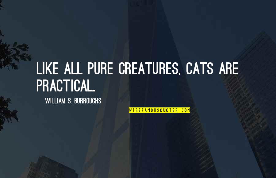 Aangan Quotes By William S. Burroughs: Like all pure creatures, cats are practical.