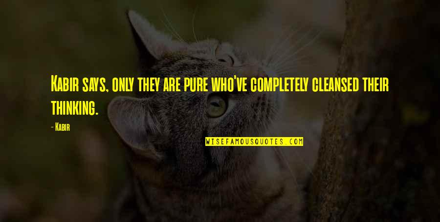 Aardse Kijker Quotes By Kabir: Kabir says, only they are pure who've completely