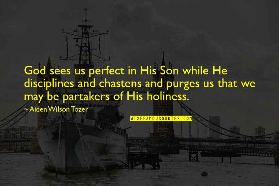 Ababa Ethiopia Quotes By Aiden Wilson Tozer: God sees us perfect in His Son while