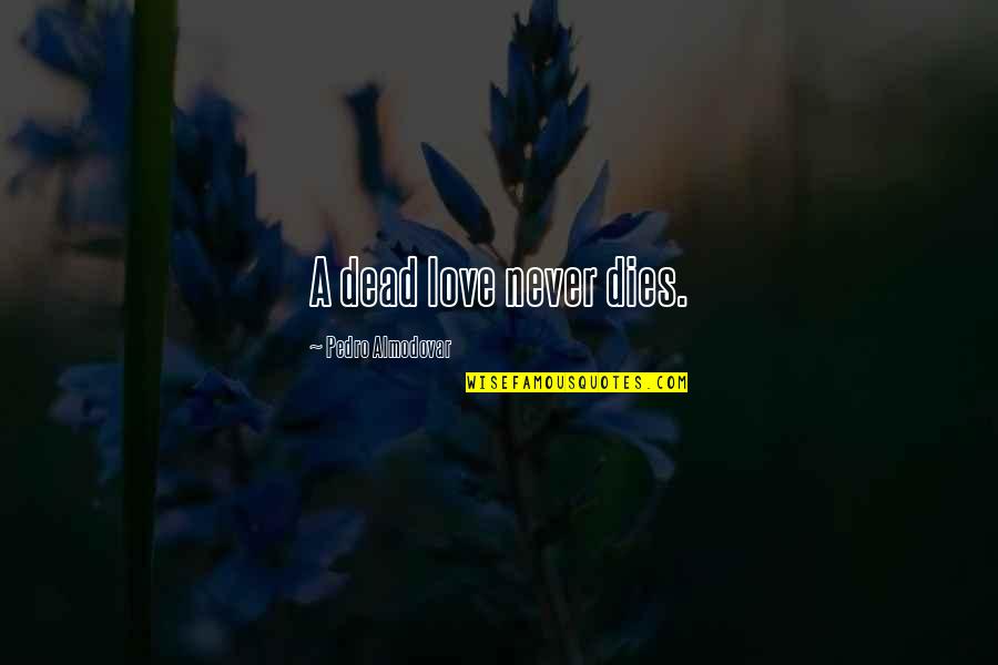 Abatere Quotes By Pedro Almodovar: A dead love never dies.