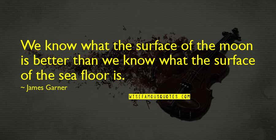 Abdulmajeed Malek Quotes By James Garner: We know what the surface of the moon