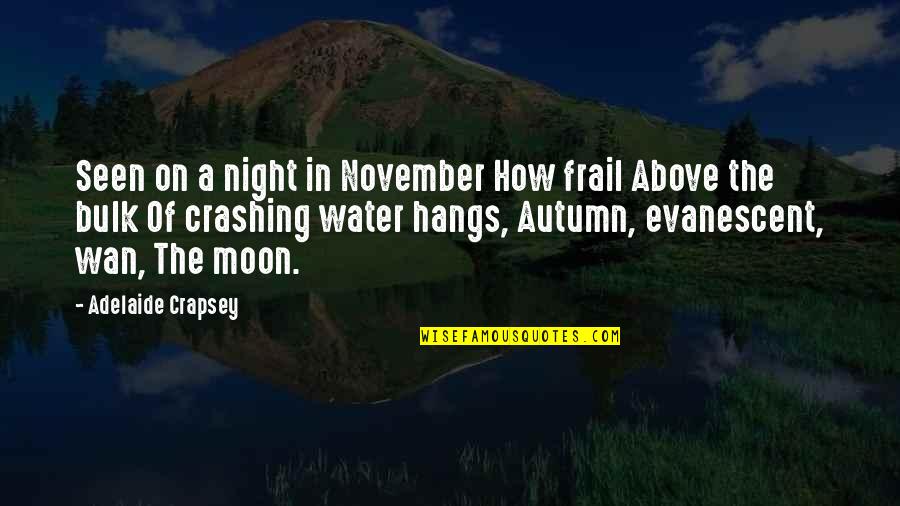 Above The Waterfall Quotes By Adelaide Crapsey: Seen on a night in November How frail