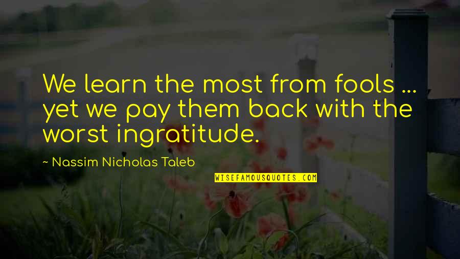 Abriana Oversized Quotes By Nassim Nicholas Taleb: We learn the most from fools ... yet
