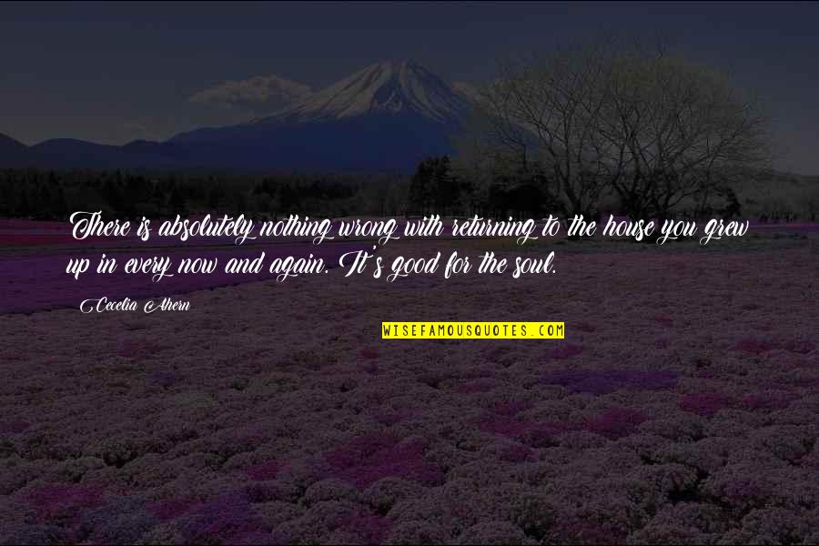 Absolutely Nothing Quotes By Cecelia Ahern: There is absolutely nothing wrong with returning to