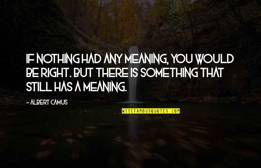 Absurd Quotes By Albert Camus: If nothing had any meaning, you would be