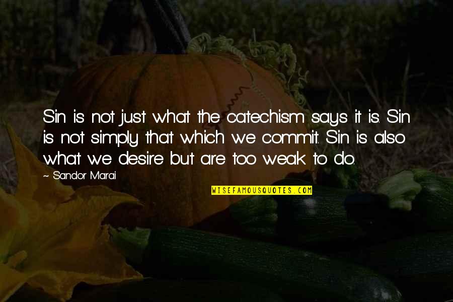 Abuse Picture Quotes By Sandor Marai: Sin is not just what the catechism says