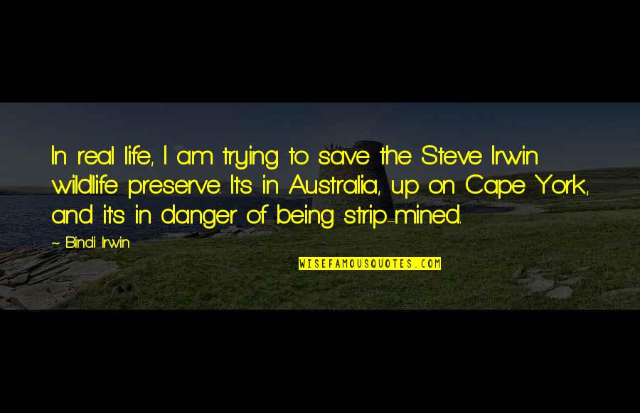 Accompanist Spelling Quotes By Bindi Irwin: In real life, I am trying to save