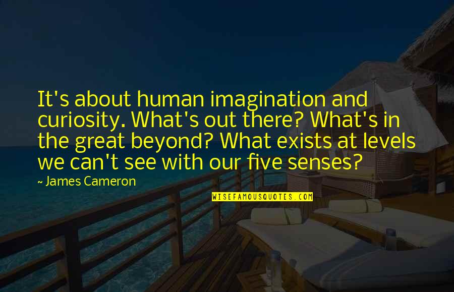 Acelerou Djavan Quotes By James Cameron: It's about human imagination and curiosity. What's out