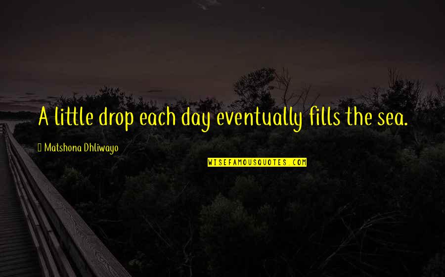 Ackerson Stevens Quotes By Matshona Dhliwayo: A little drop each day eventually fills the