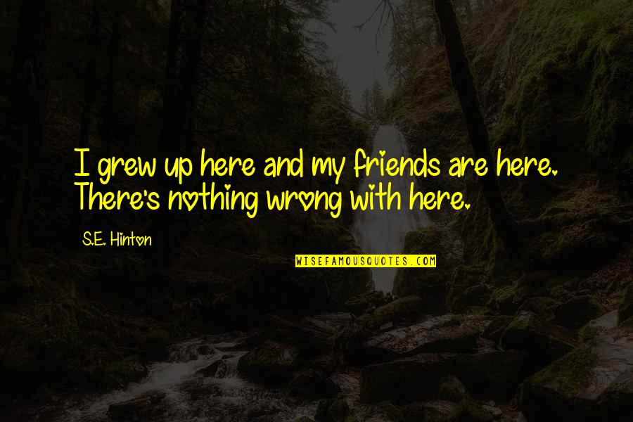 Acoplamientos Quotes By S.E. Hinton: I grew up here and my friends are