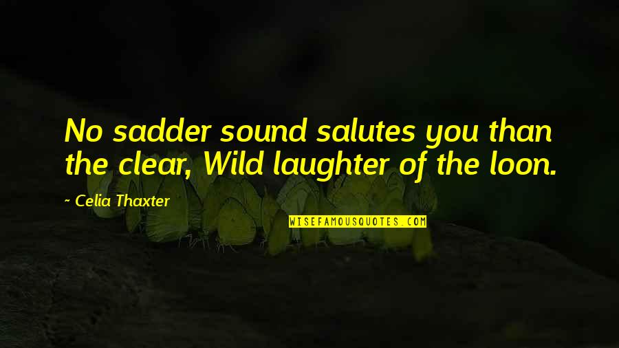 Acusan A Correa Quotes By Celia Thaxter: No sadder sound salutes you than the clear,