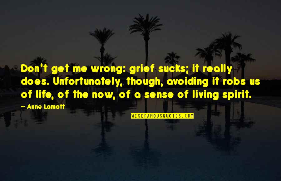 Advent God S Nature Quotes By Anne Lamott: Don't get me wrong: grief sucks; it really