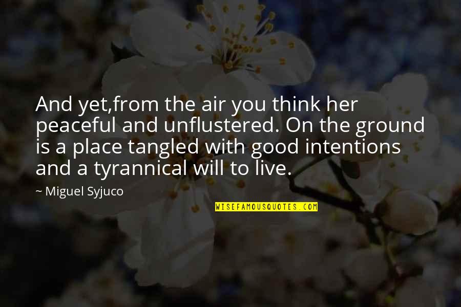 Advertisers Leaving Quotes By Miguel Syjuco: And yet,from the air you think her peaceful