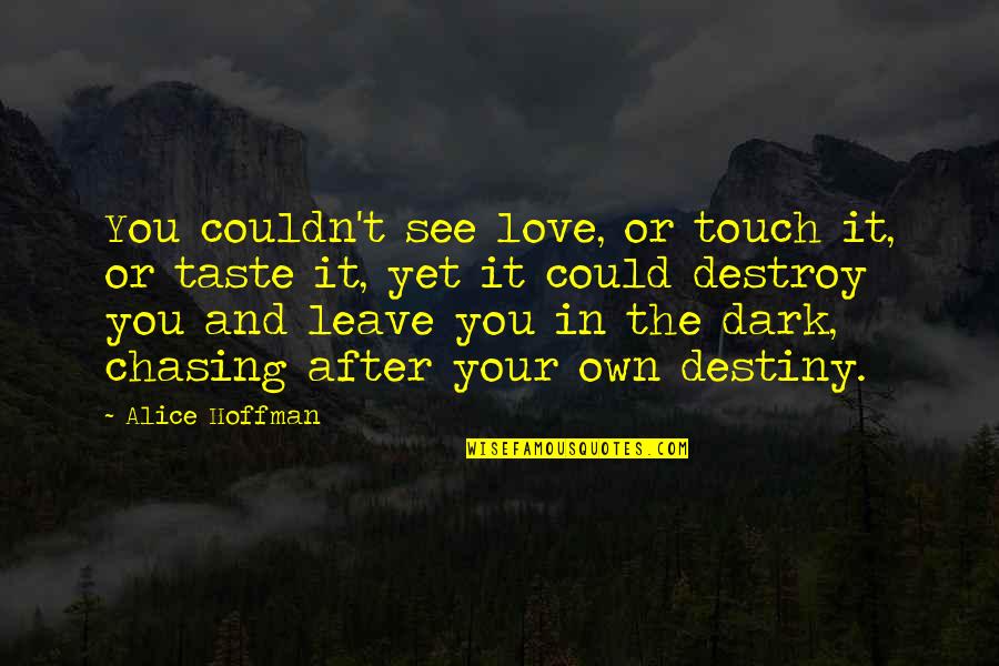 After Love Quotes By Alice Hoffman: You couldn't see love, or touch it, or