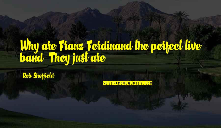 After Sembreak Quotes By Rob Sheffield: Why are Franz Ferdinand the perfect live band?