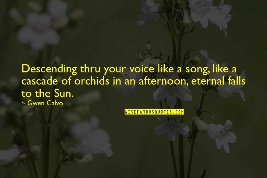 Afternoon Sun Quotes By Gwen Calvo: Descending thru your voice like a song, like