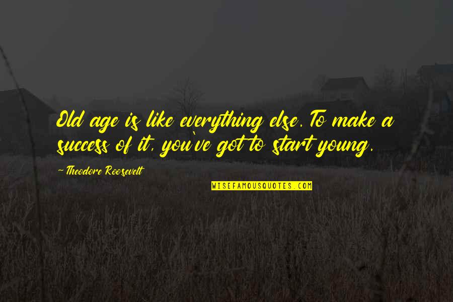 Age Young Old Quotes By Theodore Roosevelt: Old age is like everything else. To make