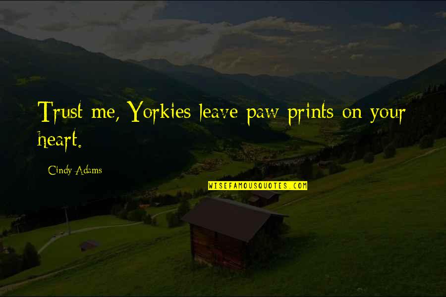 Aggrandizing In A Sentence Quotes By Cindy Adams: Trust me, Yorkies leave paw prints on your