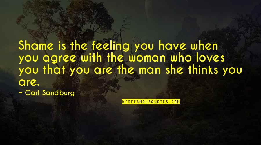 Agnarr Quotes By Carl Sandburg: Shame is the feeling you have when you