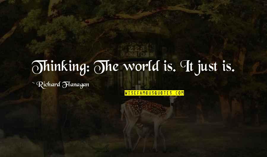 Agneenath Quotes By Richard Flanagan: Thinking: The world is. It just is.